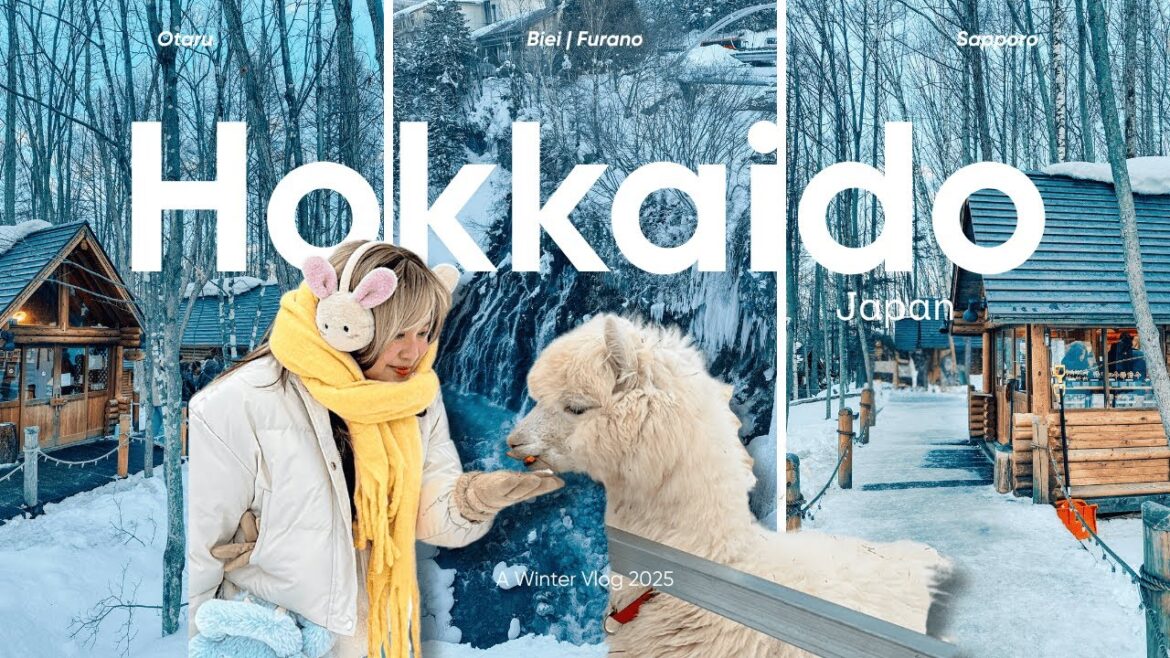 Winter Wonders of Hokkaido: Otaru, Biei, Furano & Sapporo in 4 Days | Travel Vlog 2025 Winter Wonders of Hokkaido: Otaru, Biei, Furano & Sapporo in 4 Days | Travel Vlog 2025