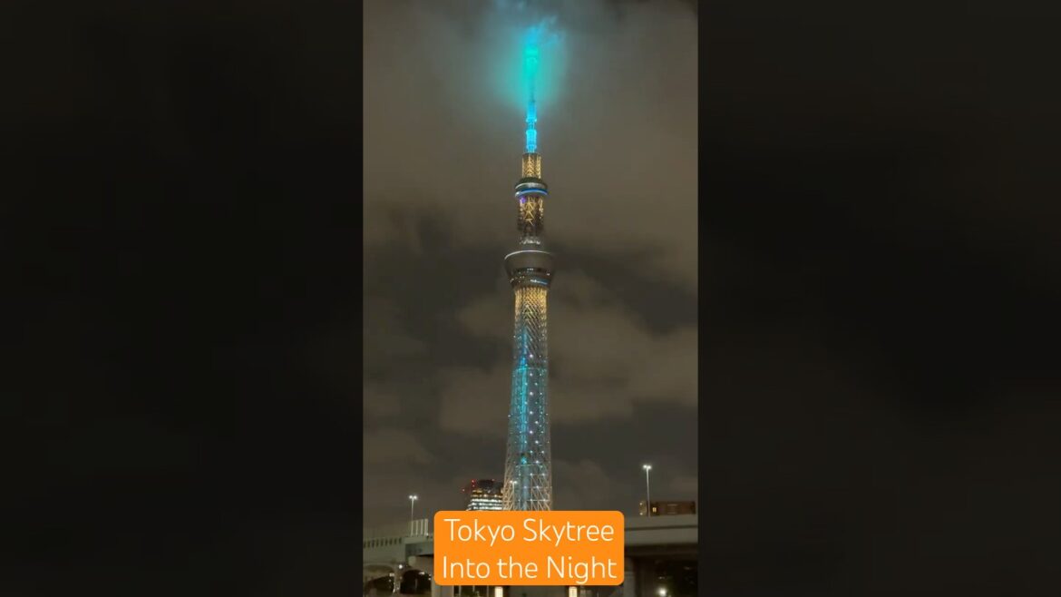 Tokyo Skytree - Into the Night