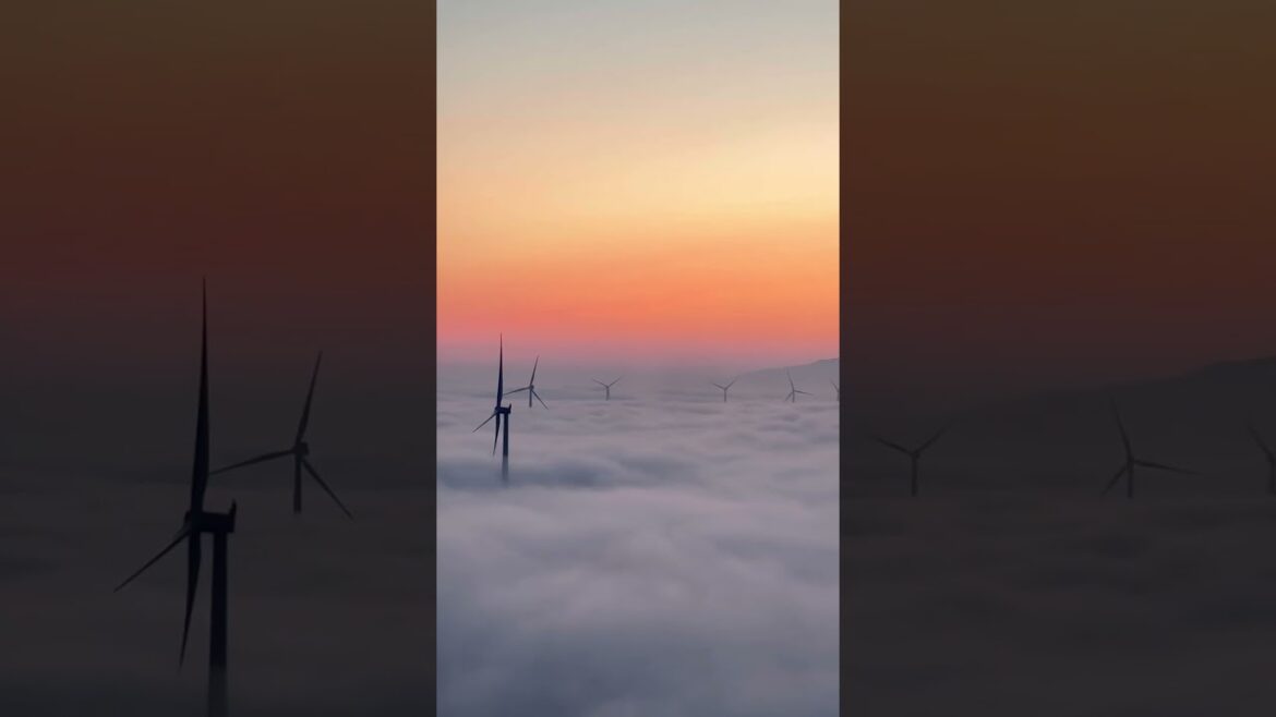 秋田の海に雲海が現れた☁️✨ #秋田  #セリオン #雲海 #akita #운해 #seaofclouds #日韓カップル