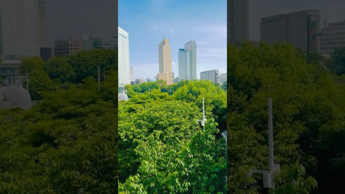 Nippon Maru Memorial Park in Yokohama🇯🇵#japan #travel #amazing #beutifull #asia