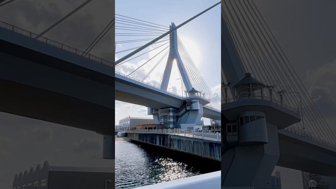 Discover Aomori Bay Bridge – Japan’s Hidden Gem! #travel #shortvideo #japan #bridge #design #beach Discover Aomori Bay Bridge – Japan’s Hidden Gem! #travel #shortvideo #japan #bridge #design #beach