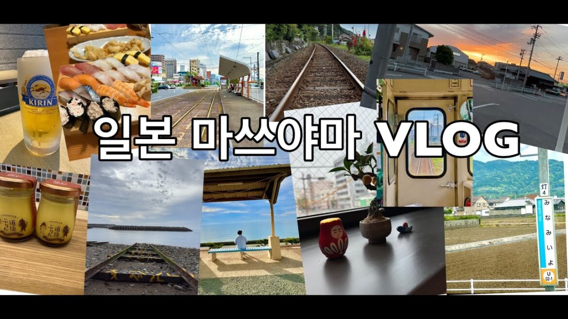 일본 소도시 마쓰야마 VLOG 🇯🇵 날씨 미친여행