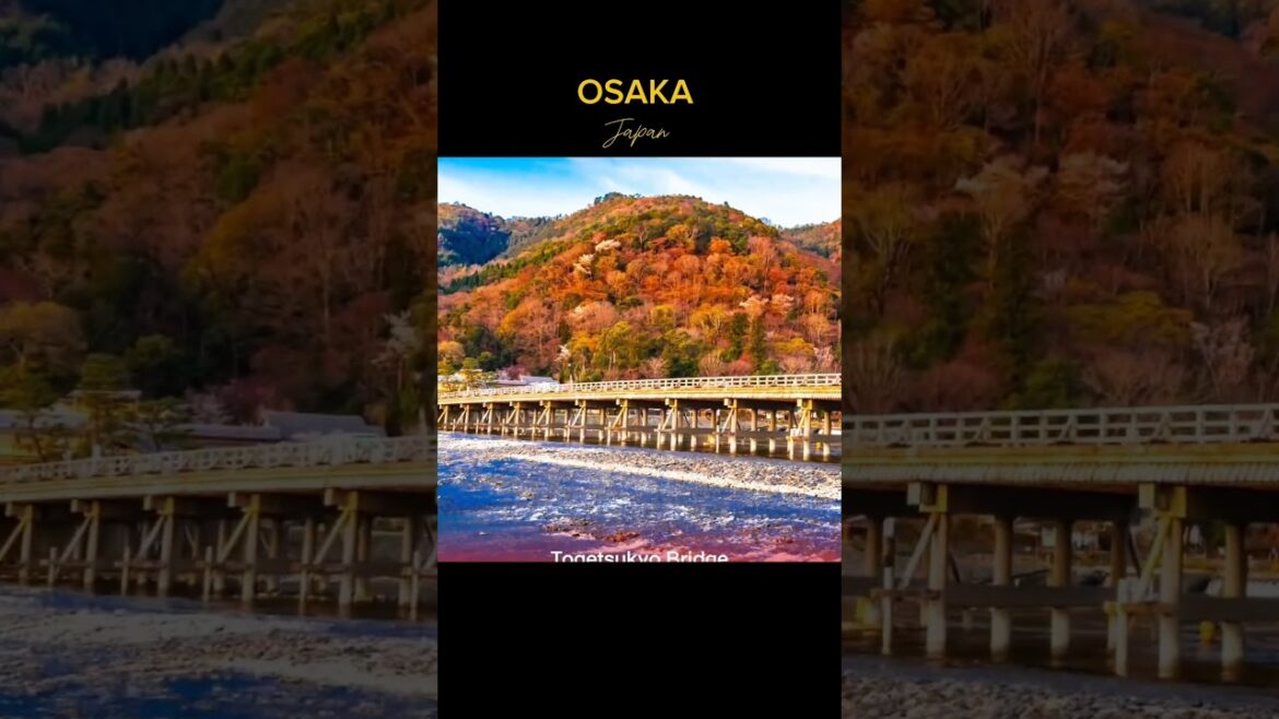 OSAKA KYOTO OBARA HAMAMATSU NABANANO SATO