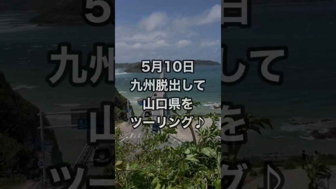 今回は山口県の角島、秋吉台、宇部市にあるときわ公園に行ってきました！
