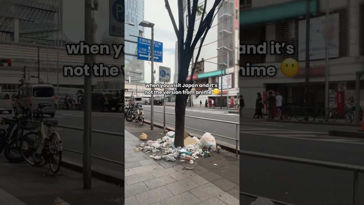 When You Visit Japan And It’s Not What You Expected When You Visit Japan And It's Not What You Expected