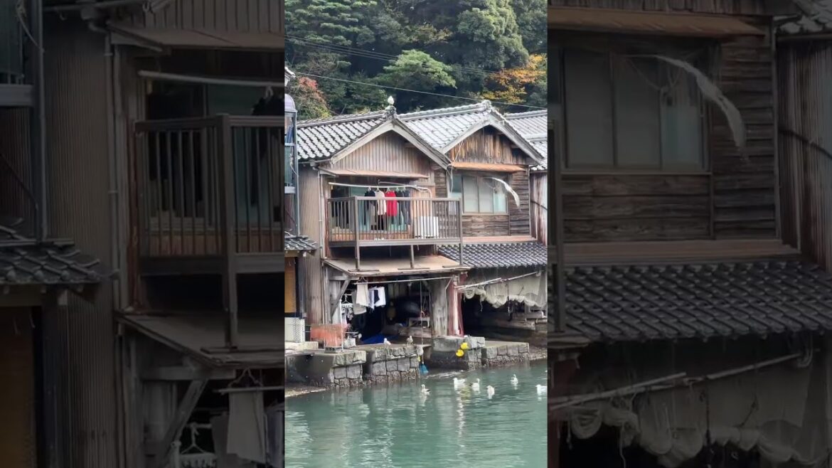 El pueblo pesquero de Ine en Japón 🎌