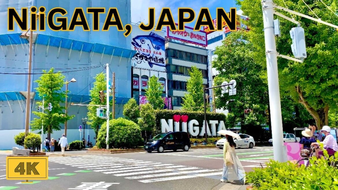 [4K] What Can You Find in Niigata Station Japan?
