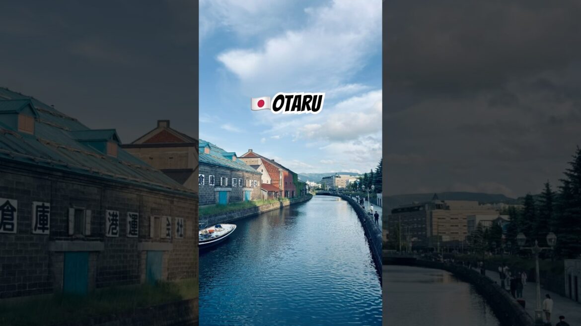 🇯🇵Come to Otaru #japan  #otaru   #北海道 #小樽  #堺町
