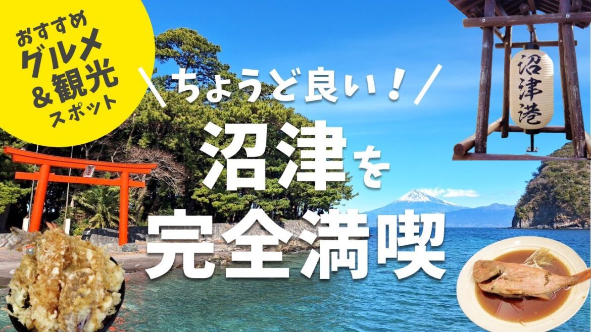 【沼津完全ガイド】グルメに観光に深海魚も!? 首都圏から50分、“ちょうど良い”沼津を大解剖！