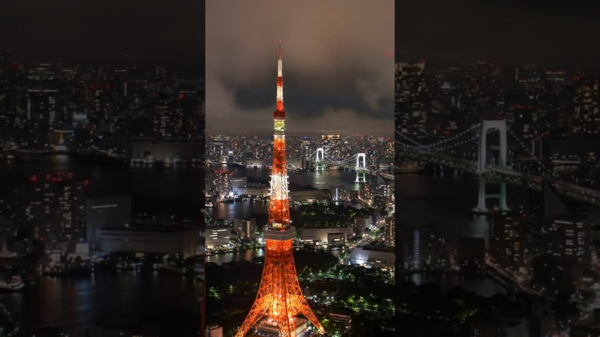 Ladies And Gentlemen Welcome To Tokyo || 4k Shorts #tokyo #travel