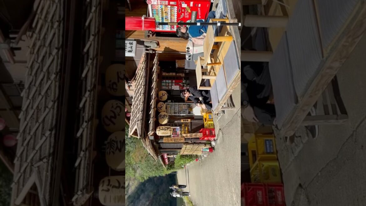 kyoto, gujo, & tokyo #japan #shorts