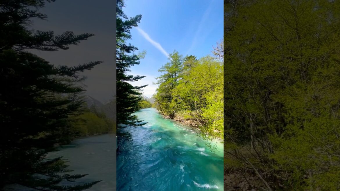 Kamikochi, Japan Alps 🏔️🍀🐒🍃