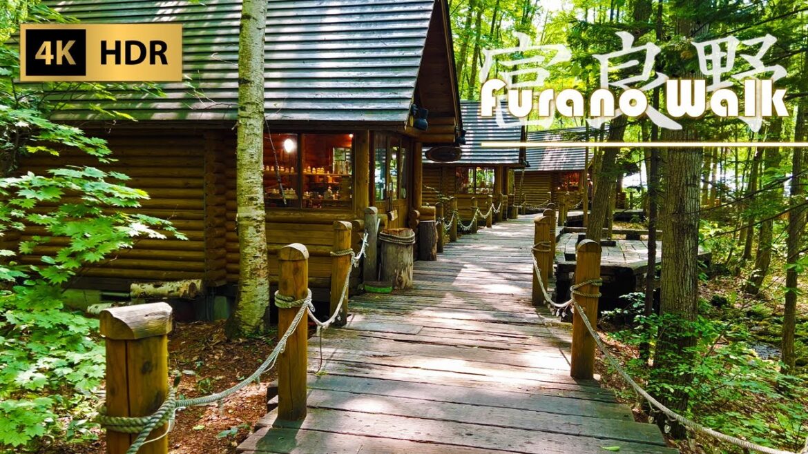 Exploring Ningle Terrace & Cheese Factory & Marche in Furano | Hokkaido | Japan | 4K HDR Exploring Ningle Terrace & Cheese Factory & Marche in Furano | Hokkaido | Japan | 4K HDR