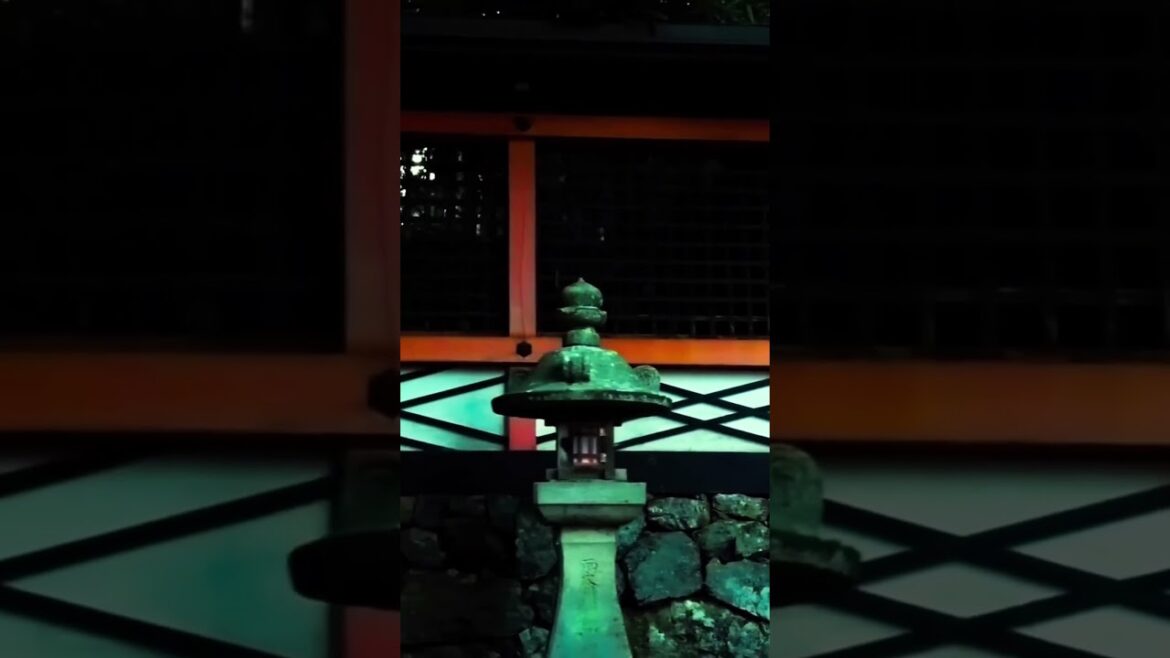 Wonder of Japan | Kōyasan - Hidden place in Wakayama - Japan #travel #旅行 #日本 #高野山 #shorts #wonder