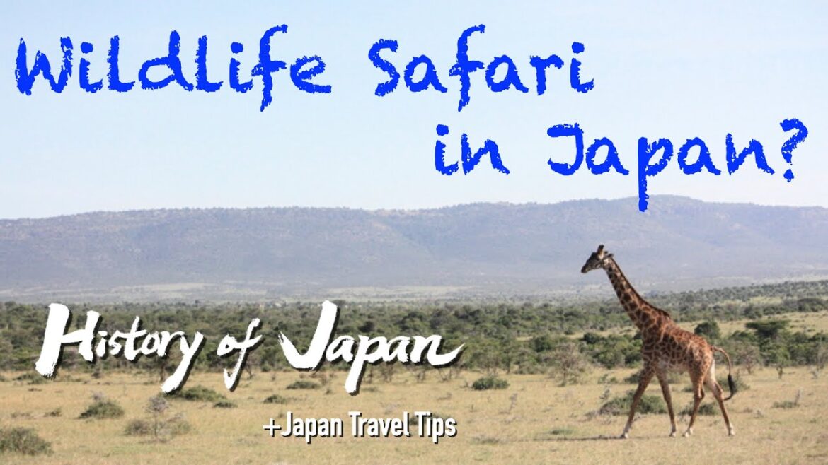 【Japanese Tour Guide's History of Japan-3】Birth of the Japanese archipelago&The Paleolithic Period-2