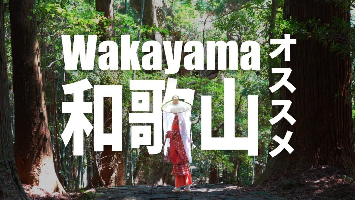Have Fun in Wakayama Pass – Choose Any 3 Attractions for Wakayama Trip! Have Fun in Wakayama Pass - Choose Any 3 Attractions for Wakayama Trip!