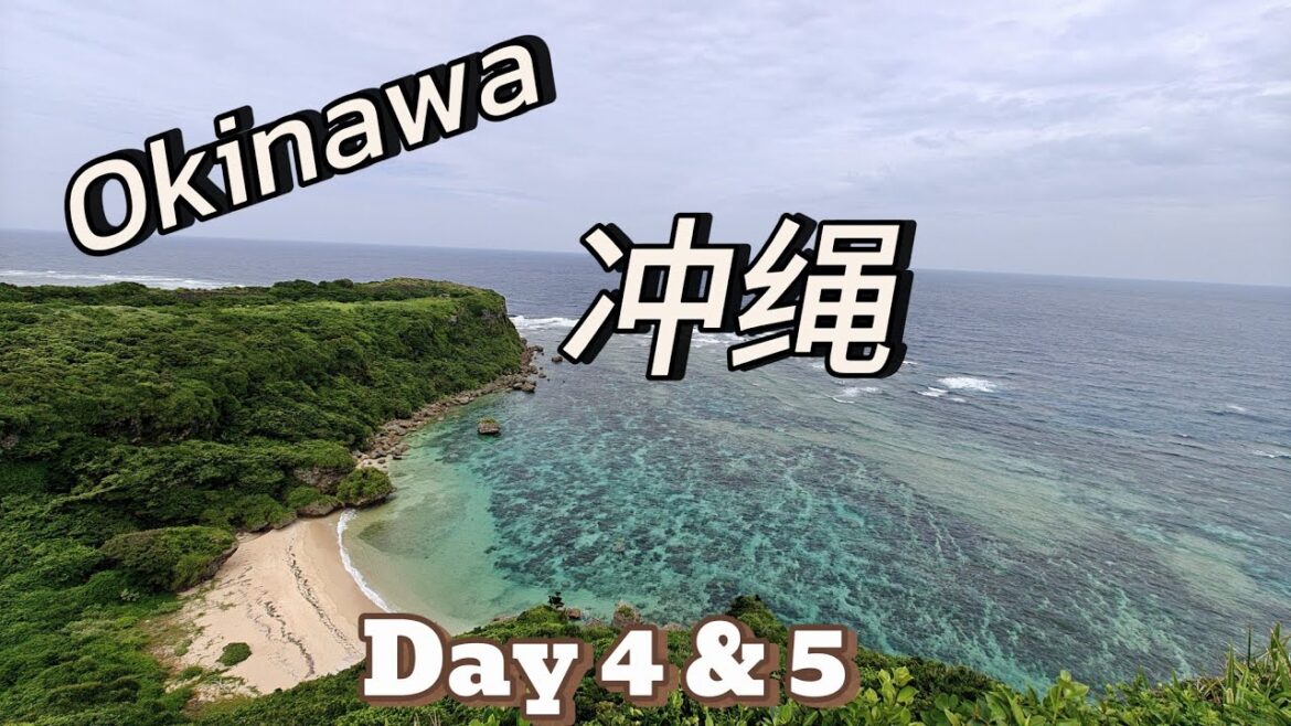 Okinawa 2025 冲绳 | Family Trip 7 days 6 nights | Day 4 & 5
