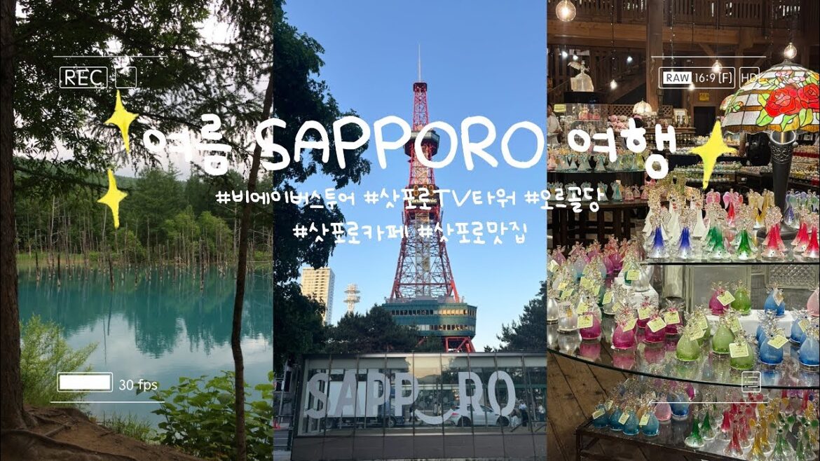 [ SAPPORO ]일본 삿포로 여행 브이로그🩵 먹고 걷고 힐링하기🪻| 비에이 버스투어 | 스프카레 | 오타루 | 오르골당 | 훗카이도 | TV타워 | 사계채의 언덕 | 스스키노
