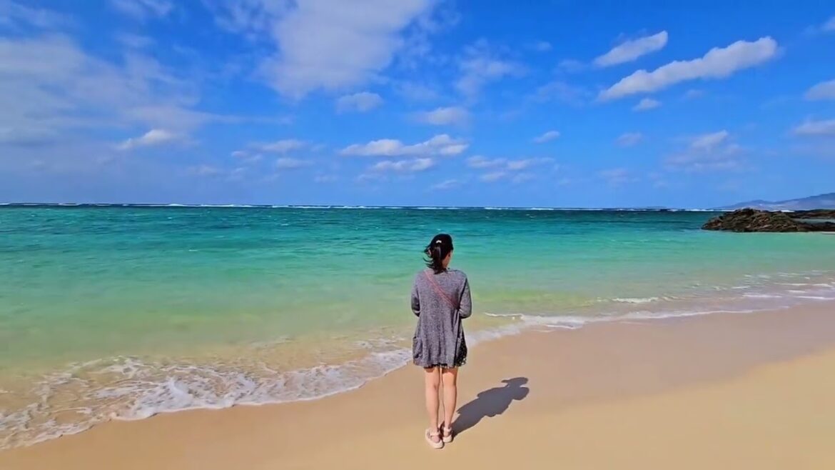 Okinawa tour day two 11/13/2023