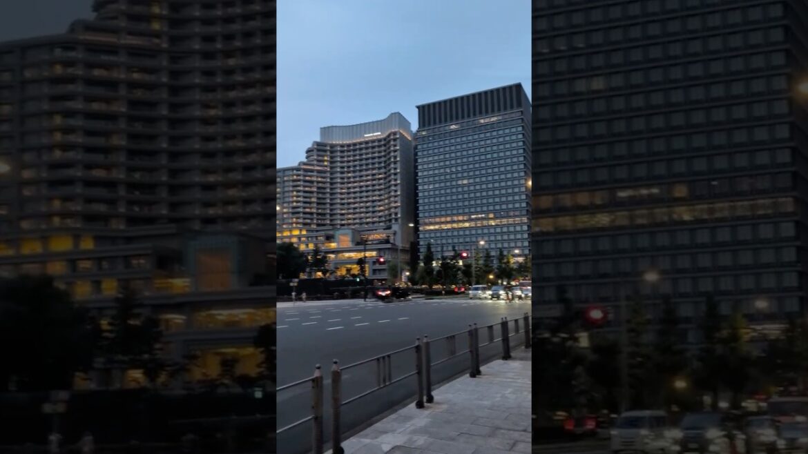 #travel #tokyo #japan #shortsfeed #shorts #shortsfeed #ytshorts #night #japanese #vibes #asia #2025