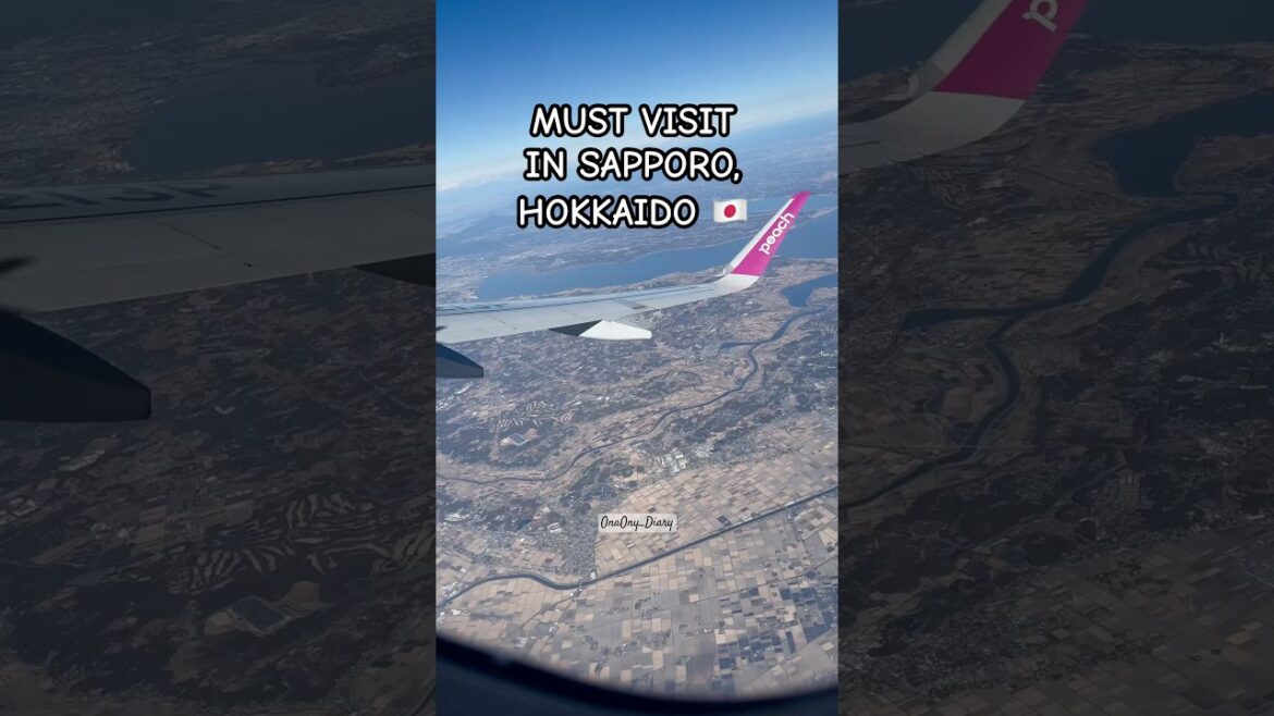 Winter in Hokkaido #japan #jepang #hokkaido #winter #tips #itinerary #sapporo #jalanjalan #holiday