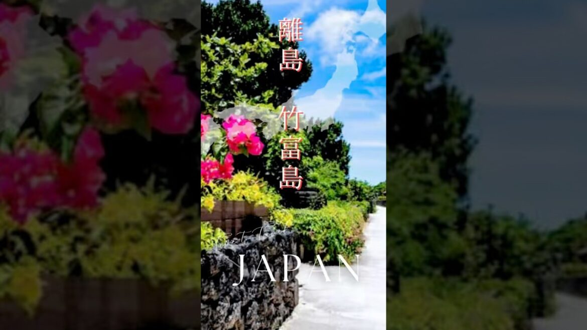 竹富島観光🏝️景色も雰囲気も最高🌺 #八重山 #竹富島 #石垣島 #沖縄 #離島 #旅行 #観光 #景色 #travel #okinawa #trip #japan #shorts