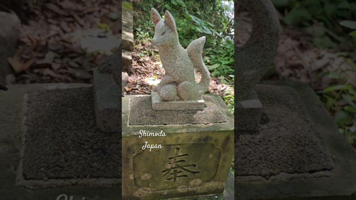 Shimoda Travel Vlog Uploaded. #Izupeninsula #Shimoda #Japan #ramenandtacos #shizuoka