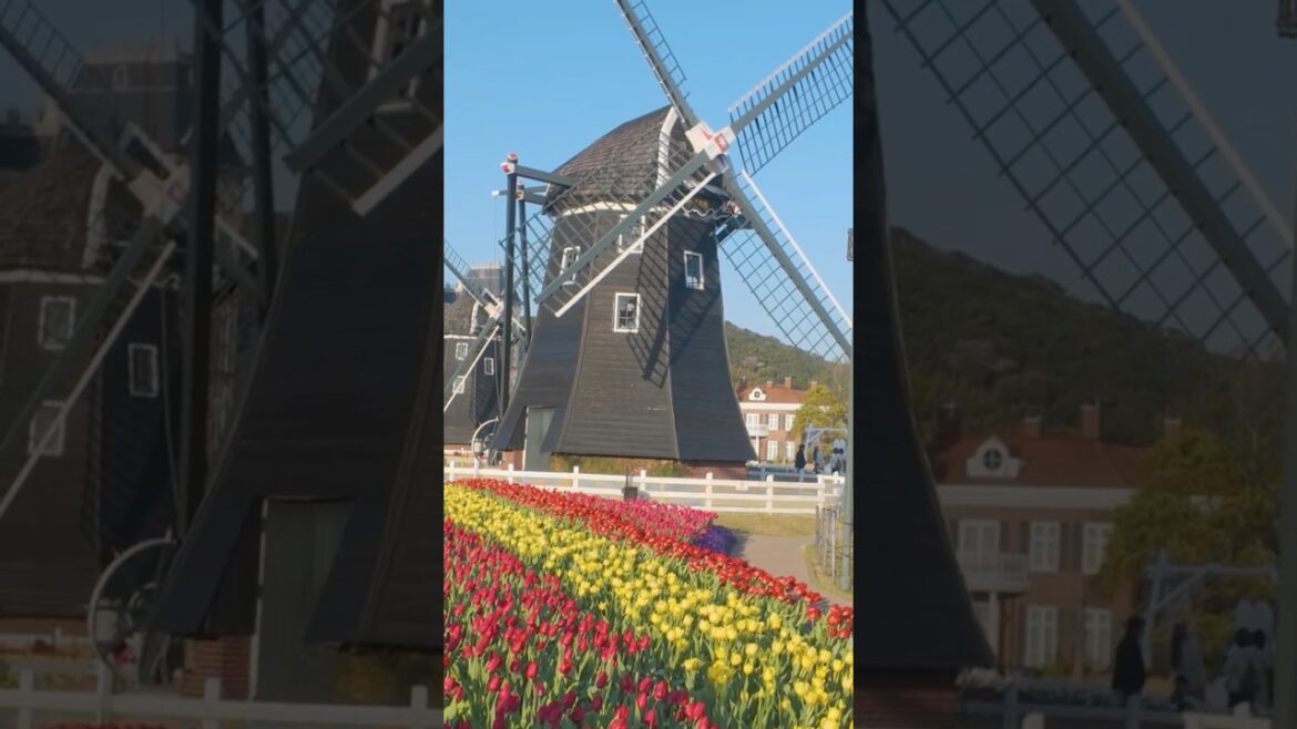 European City in Japan – Huis Ten Bosch European City in Japan - Huis Ten Bosch