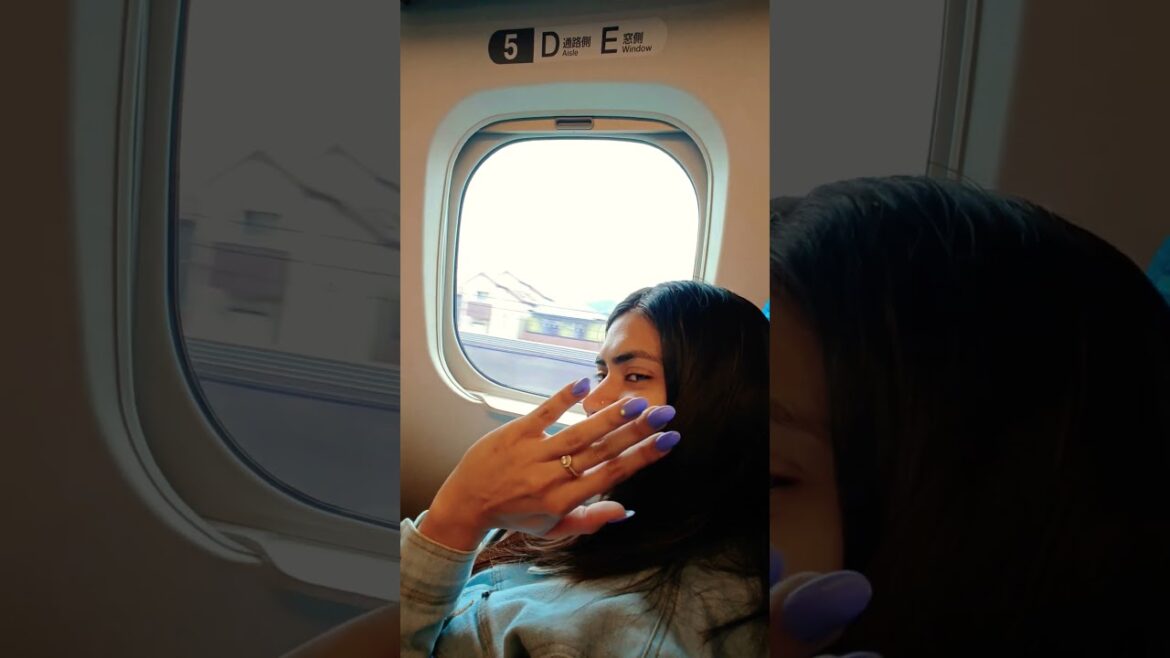 Japanese bullet train travel from Tokyo to Kyoto #japan #travel #tokyo #kyoto #train