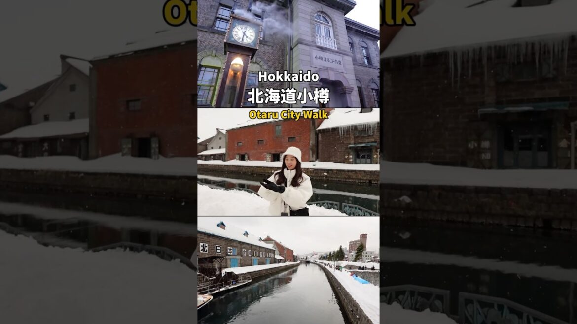 北海道小樽 / Hokkaido Otaru City Walk #北海道 #小樽 #冬天 #hokkaido #otaru #travel