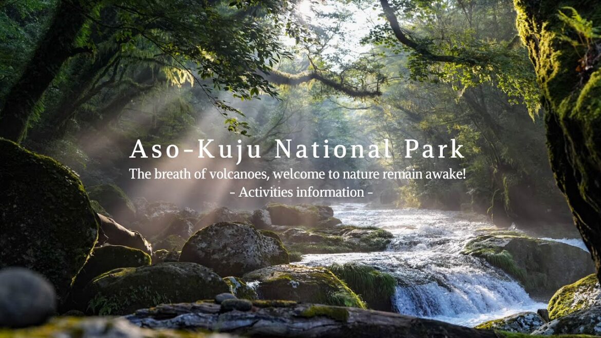 Aso-Kuju: The breath of volcanoes, welcome to nature remain awake! Activities information [Digest]