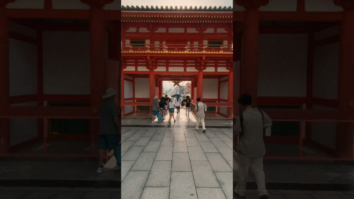 Through the Gate #japan #travel #kyoto #gate #chill #afternoon #sunshine #shrine