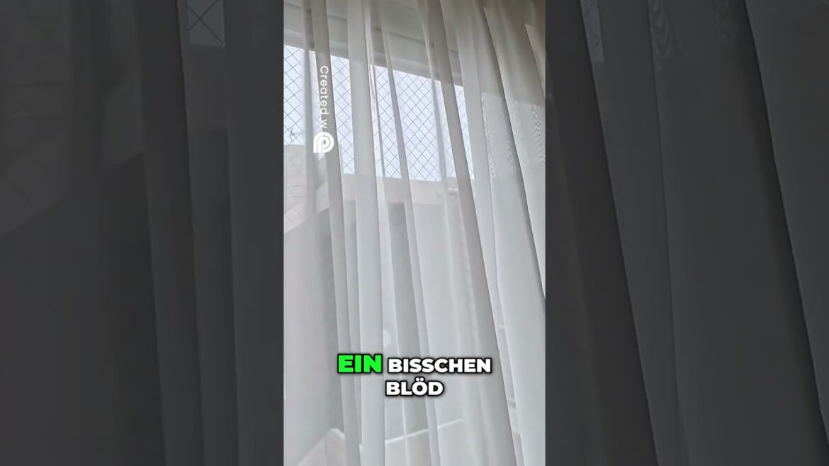 Unsere Unterkunft in Okinawa City – klein, aber mit Stil! 🛏️✨