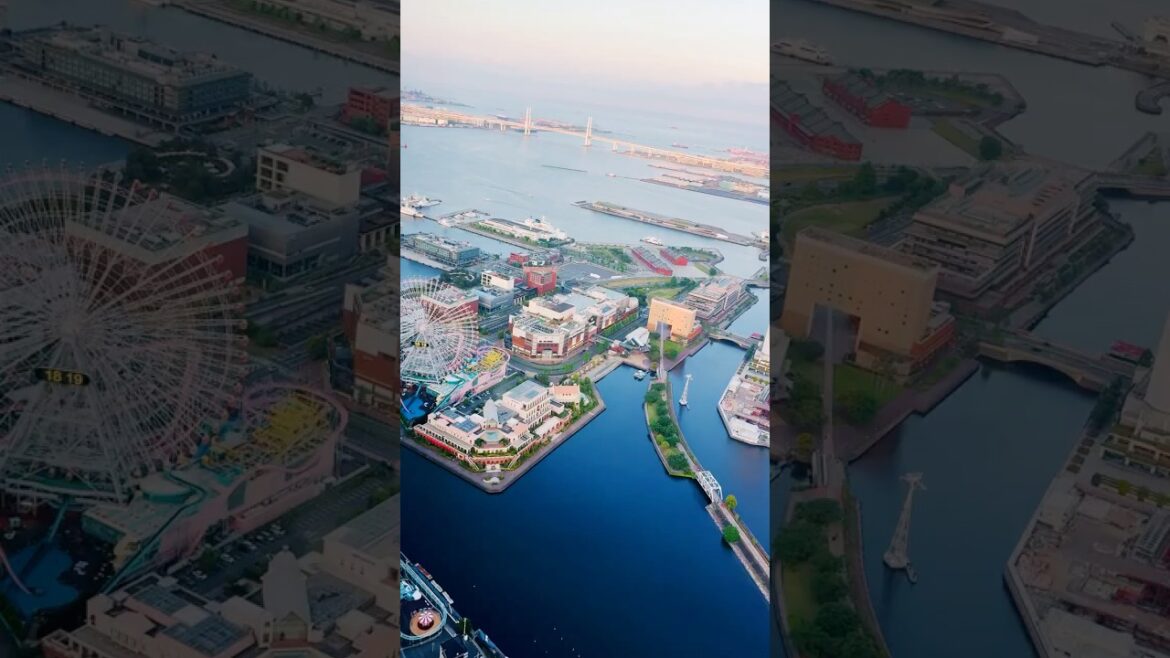 Wonderful view at Yokohama Landmark Tower🇯🇵#japan #travel #amazing #asia #beautiful #views