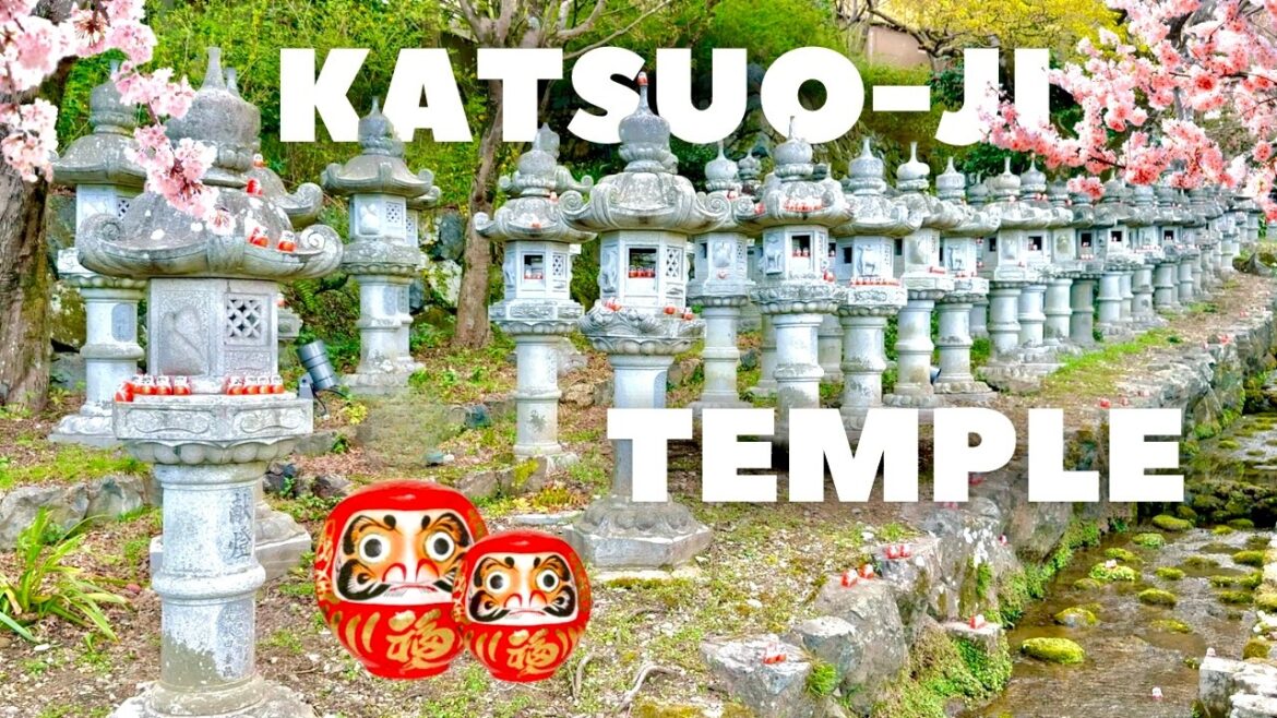 KATSUO-JI Daruma Temple - Walking Tour in Osaka's Mountains in Japan | 4K, 60fps HDR