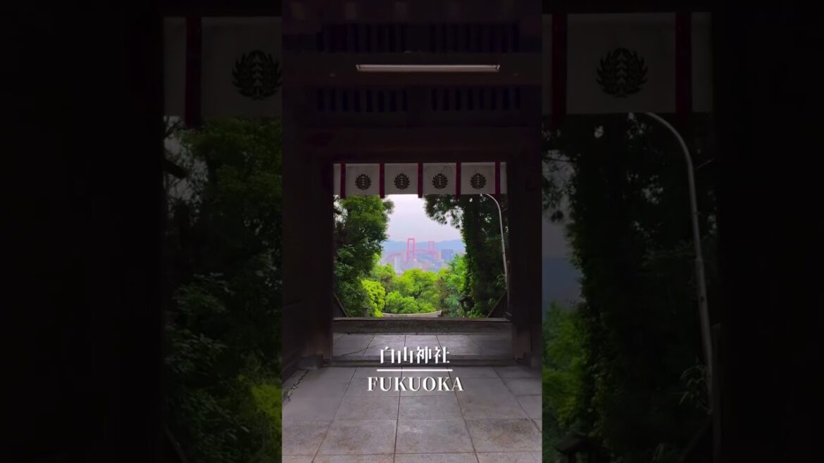 【北九州】穴場な絶景 #神社 #福岡 #travel