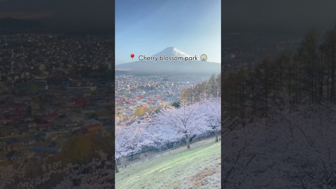 Unreal Places in Japan 🇯🇵 #shorts #japan