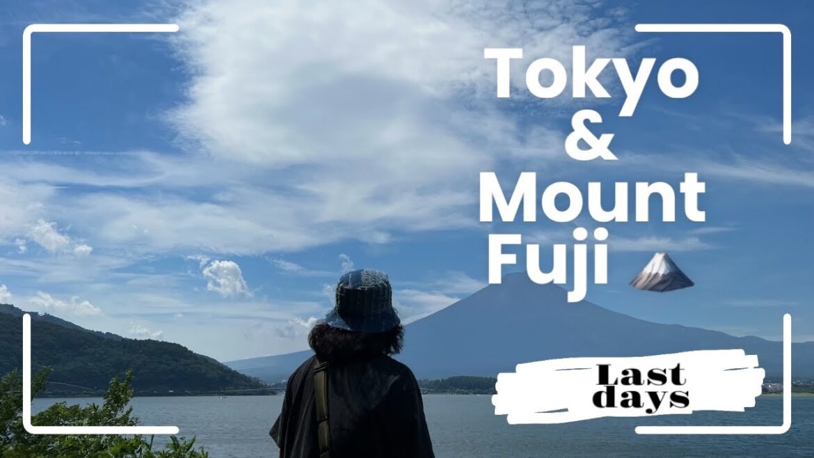 Last days in Tokyo / Day tour in Mount Fuji 🗻