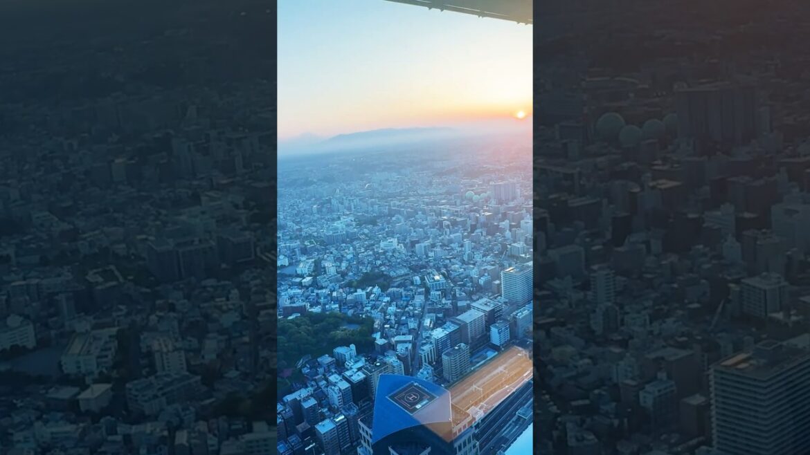 Beautiful sunset overlooking Mount Fuji in Yokohama🇯🇵#japan #travel #asia #amazing #views #mtfuji Beautiful sunset overlooking Mount Fuji in Yokohama🇯🇵#japan #travel #asia #amazing #views #mtfuji
