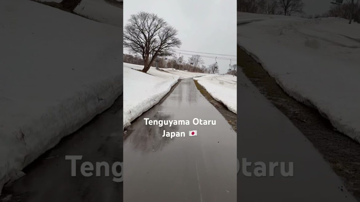 Tenguyama Otaru Japan #travel #trending #japan #nature #snow Tenguyama Otaru Japan #travel #trending #japan #nature #snow