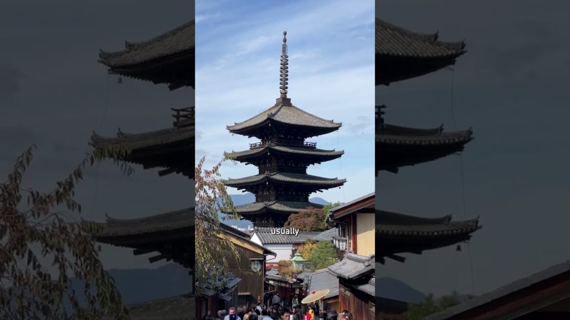 why you need to stay in one of these #kyoto #japan #travel #hotel #traveltips #kyototrip #ryokan why you need to stay in one of these #kyoto #japan #travel #hotel #traveltips #kyototrip #ryokan