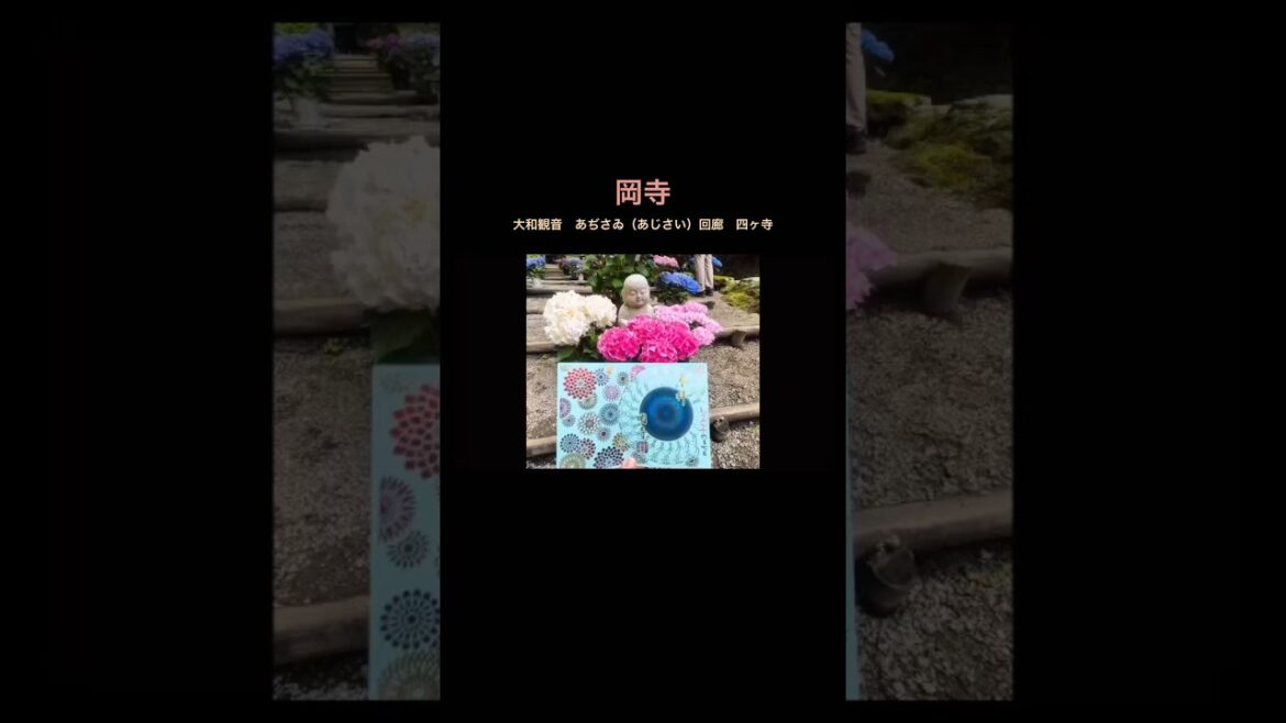 ［Nara岡寺］大和観音　あぢさゐ（あじさい）回廊　四ヶ寺