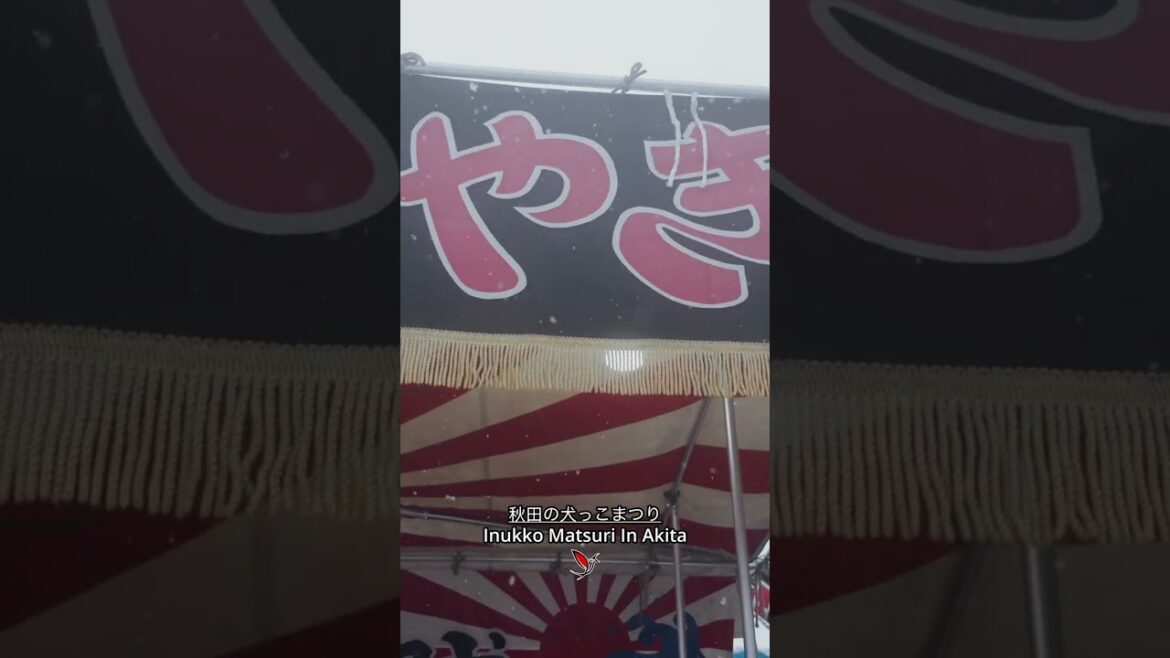 秋田犬っ子まつり Akita Dogs Festival #akita #streetfood #foodstall #japan #festival #秋田犬 #秋田 #いぬ #akitadog