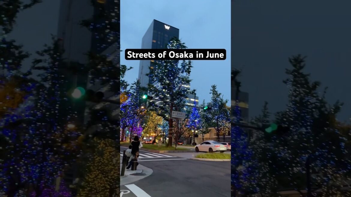 Streets of Osaka #marinjapan #japantravel #travel #traveldestinations #japan #osaka #streetstyle