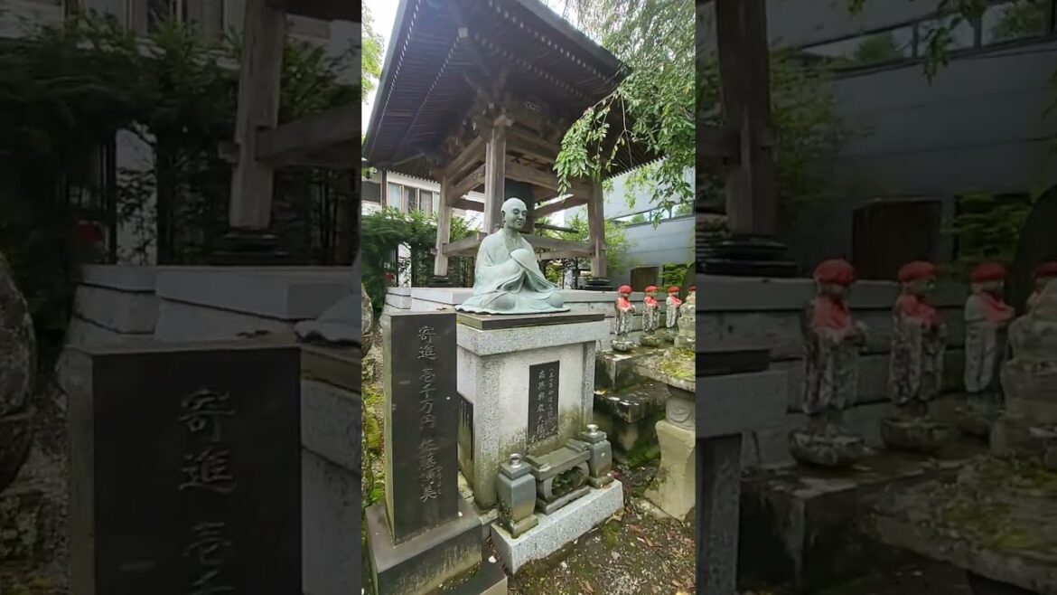 Suwa Shrine Ginza Street Karuizawa Nagano#tourguiding#japantouristguide #japantravelguide#alttravels
