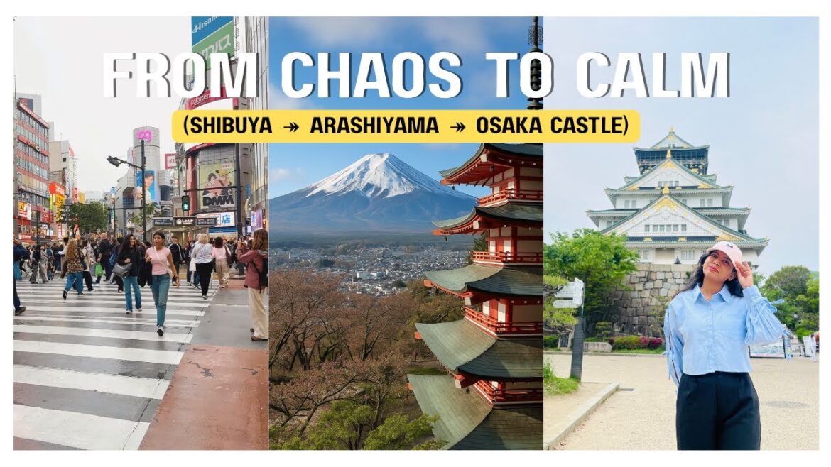 Japan vlog #2 : Tokyo to Osaka Vlog | Shibuya Crossing, Mt. Fuji Day Trip & Osaka Castle Tour ๐๏ธ๐ฏ Japan vlog #2 : Tokyo to Osaka Vlog | Shibuya Crossing, Mt. Fuji Day Trip & Osaka Castle Tour ๐๏ธ๐ฏ