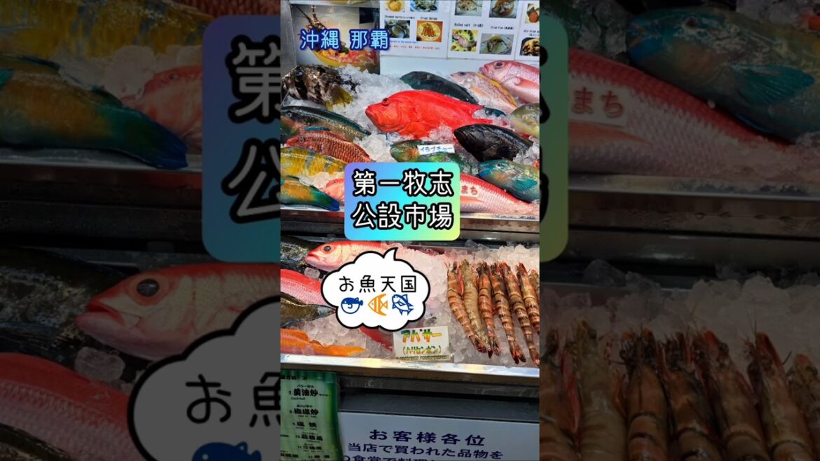 【一人旅】〈沖縄の台所〉沖縄の食材が集結 「第一牧志公設市場」 #shorts #沖縄 #グルメ 【一人旅】〈沖縄の台所〉沖縄の食材が集結 「第一牧志公設市場」 #shorts #沖縄 #グルメ