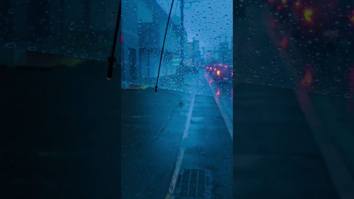 Rainy City, Deeply Colored #Kumamoto #RainySeason #CityWalk #Japan #rain #travel