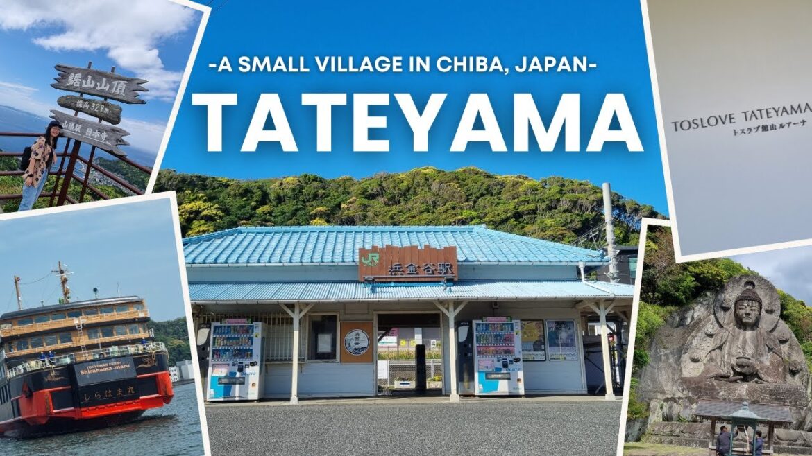 Tateyama, A Small Village in Chiba Japan in May 2025 | Part 1