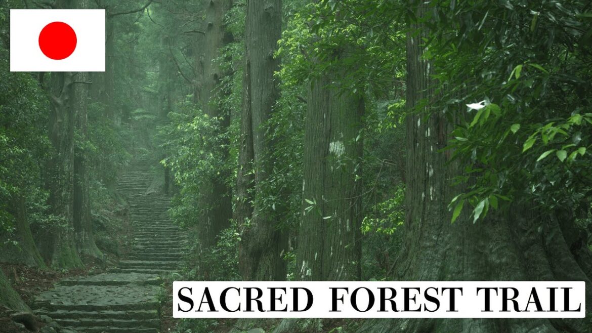 Is This Real? Kumano Kodo – Hidden Spiritual Trail in Japan 013 Is This Real? Kumano Kodo – Hidden Spiritual Trail in Japan 013